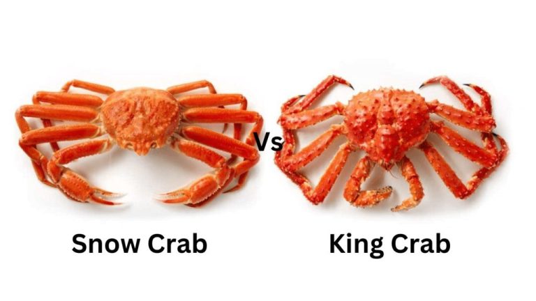 Snow Crab Vs King Crab: What's The Difference? - Diffen Food