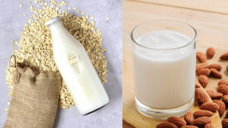 Oat Milk Vs Almond Milk: What's The Difference - Diffen Food