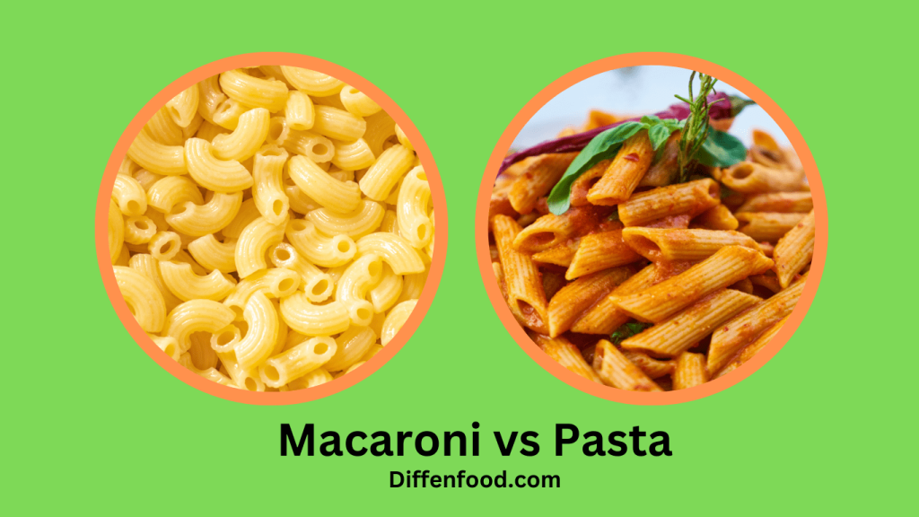 Macaroni vs Pasta: What's the Difference? - DiffenFood