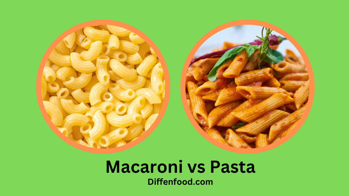 is macaroni and pasta same