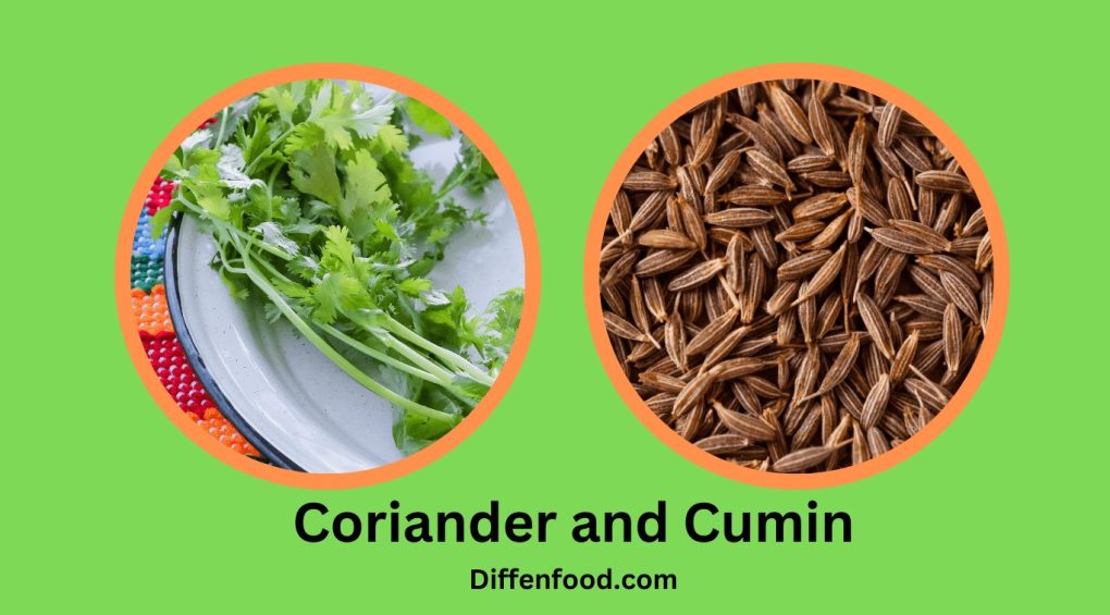 Coriander and Cumin Differences and Similarities Diffen Food