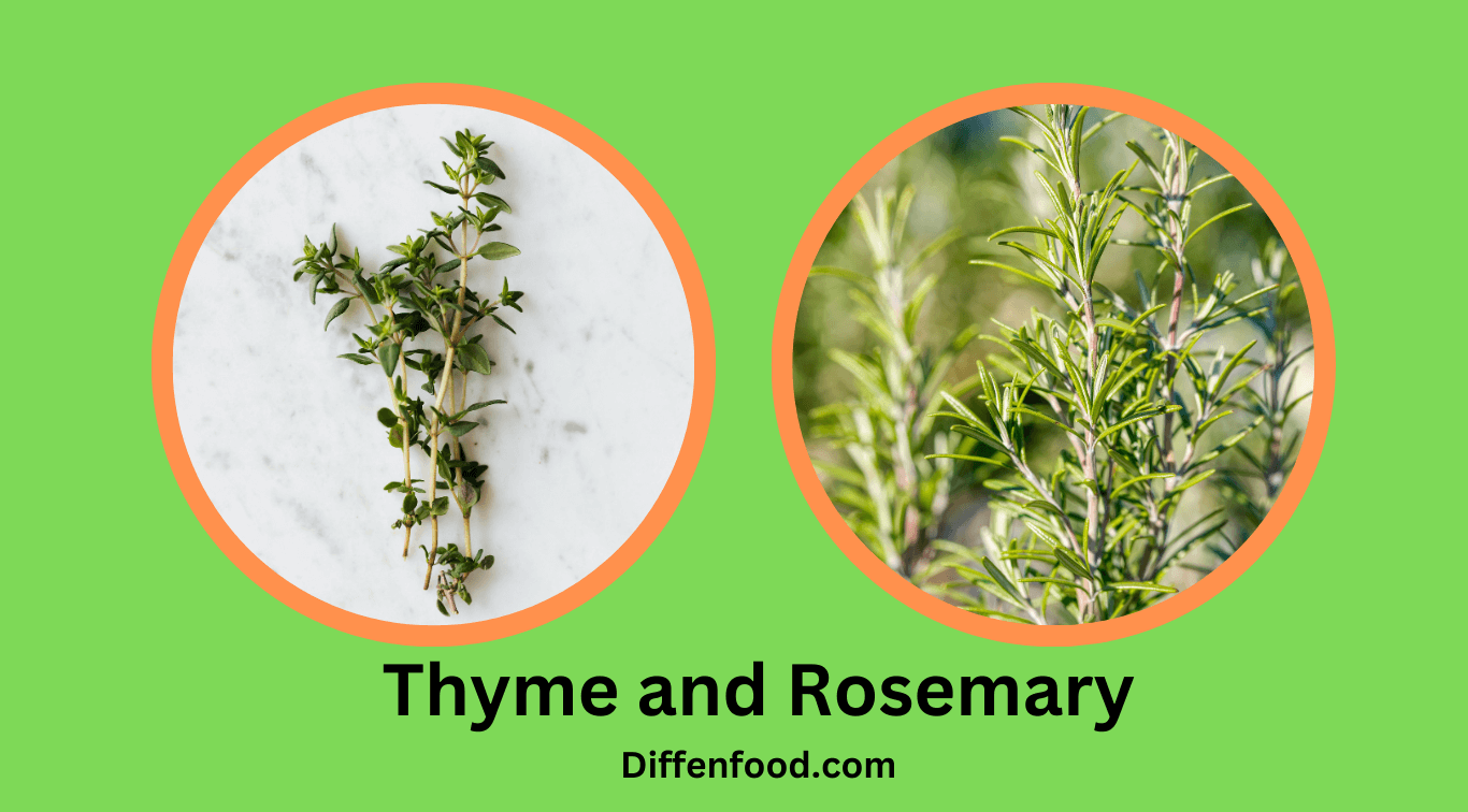 Thyme and Rosemary Exploring the Differences and Similarities Diffen