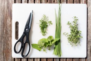 spices, chervil, lemon balm-2419055.jpg